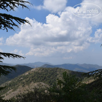 фото из отзыва ID 2125800