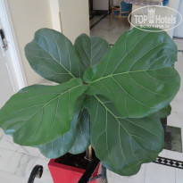 фото из отзыва ID 2125843