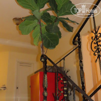 фото из отзыва ID 2125843