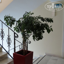 фото из отзыва ID 2125843