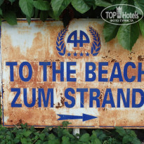 фото из отзыва ID 2125843