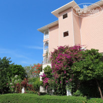 фото из отзыва ID 2125843