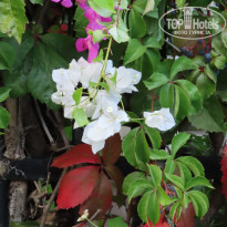 фото из отзыва ID 2125843