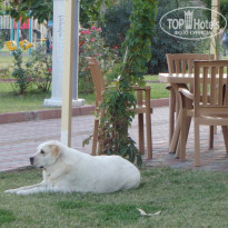 фото из отзыва ID 2125843