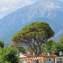 фото из отзыва ID 2125843