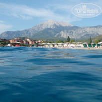 фото из отзыва ID 2125843