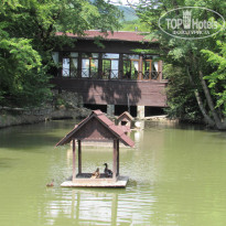 фото из отзыва ID 2125836