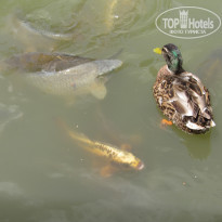 фото из отзыва ID 2125836