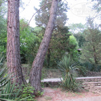 фото из отзыва ID 2125836