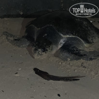 фото из отзыва ID 2126007