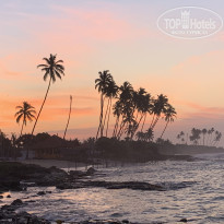 фото из отзыва ID 2126007