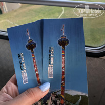 фото из отзыва ID 2126040