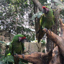 фото из отзыва ID 2126040