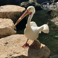 фото из отзыва ID 2126040