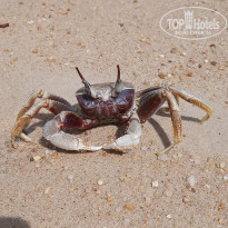 фото из отзыва ID 2126049