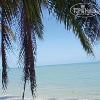 фото из отзыва ID 2126049