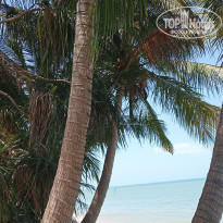 фото из отзыва ID 2126049