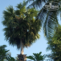 фото из отзыва ID 2126049