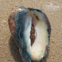 фото из отзыва ID 2126049