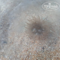 фото из отзыва ID 2126049