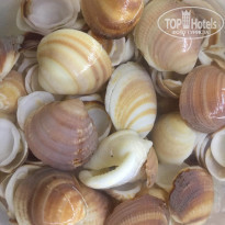 фото из отзыва ID 2126164