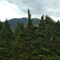 фото из отзыва ID 2126173