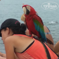 фото из отзыва ID 2126173