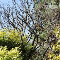 фото из отзыва ID 2126247