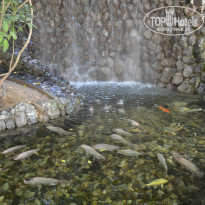 фото из отзыва ID 2126251