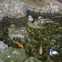 фото из отзыва ID 2126251