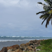 фото из отзыва ID 2126277