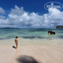 фото из отзыва ID 2126277