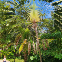 фото из отзыва ID 2126277