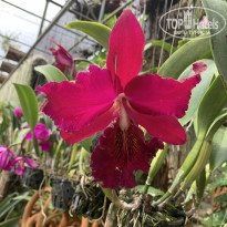 фото из отзыва ID 2126350