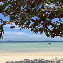 фото из отзыва ID 2126427