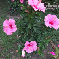 фото из отзыва ID 2126471