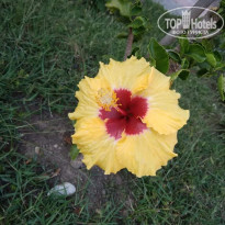 фото из отзыва ID 2126471