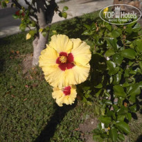 фото из отзыва ID 2126471