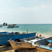 фото из отзыва ID 2126473