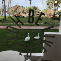 фото из отзыва ID 2126493