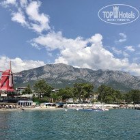 фото из отзыва ID 2126494