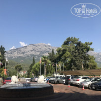 фото из отзыва ID 2126494