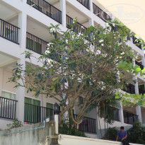 фото из отзыва ID 2126498