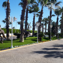 фото из отзыва ID 2126559