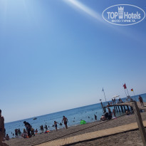 фото из отзыва ID 2126588