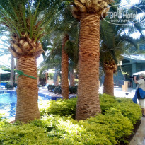 фото из отзыва ID 2126645