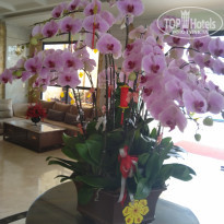 фото из отзыва ID 2126666