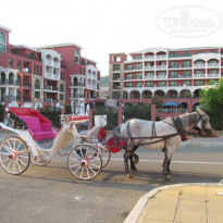 фото из отзыва ID 2126909