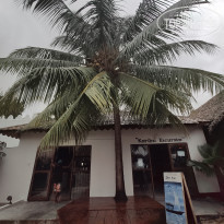 фото из отзыва ID 2126931