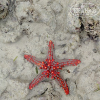 фото из отзыва ID 2126931